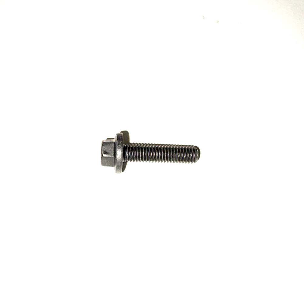 Set Screw FS106255L